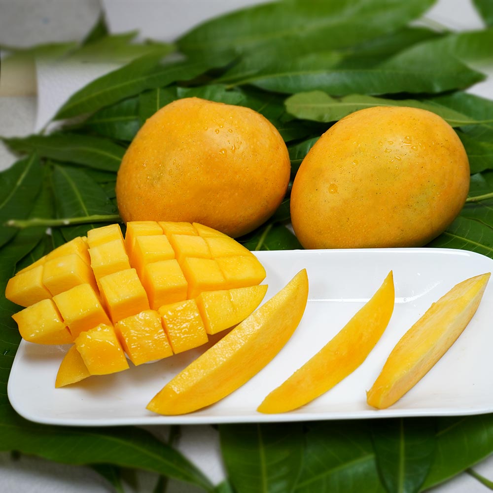 Banginapalli Mangoes (Fresh, Juicy & Tasty) 54091 USA